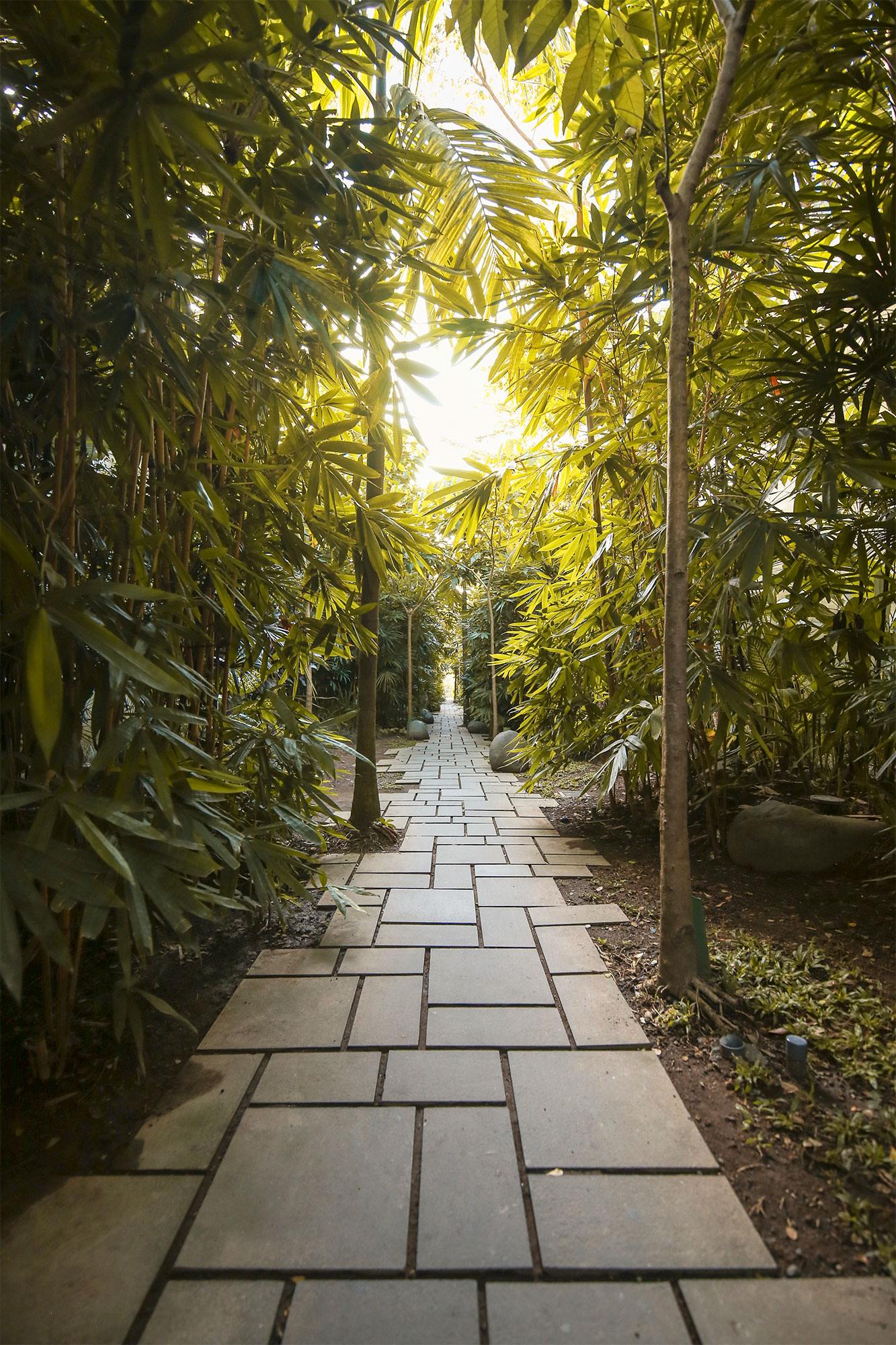 How To Make Your Home More Environmentally Friendly | How Far From Home
