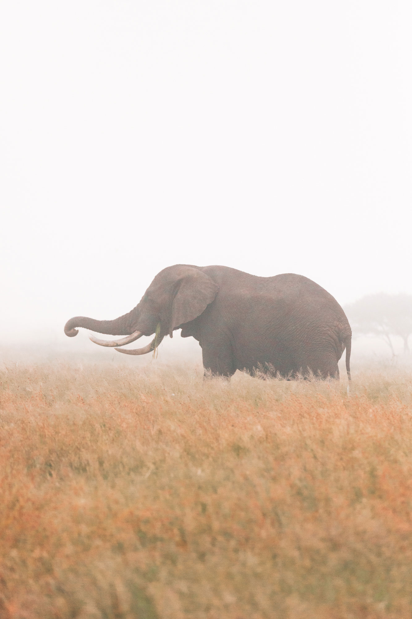 Camping in Kruger National Park | How Far From Home