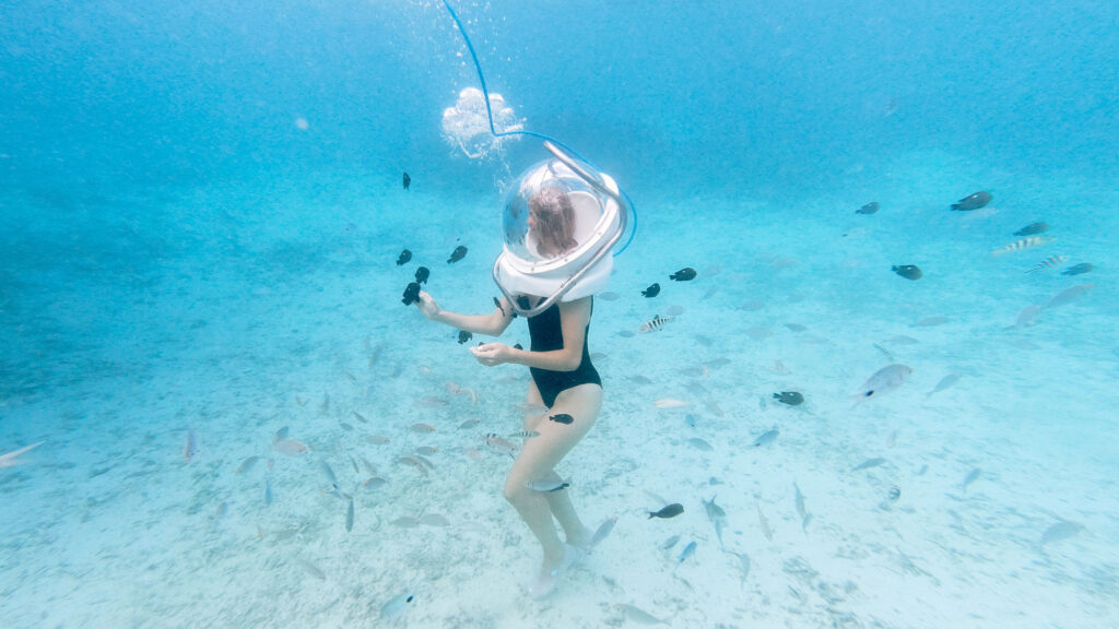 3 Adventures You Can Have In Mauritius | How Far From Home