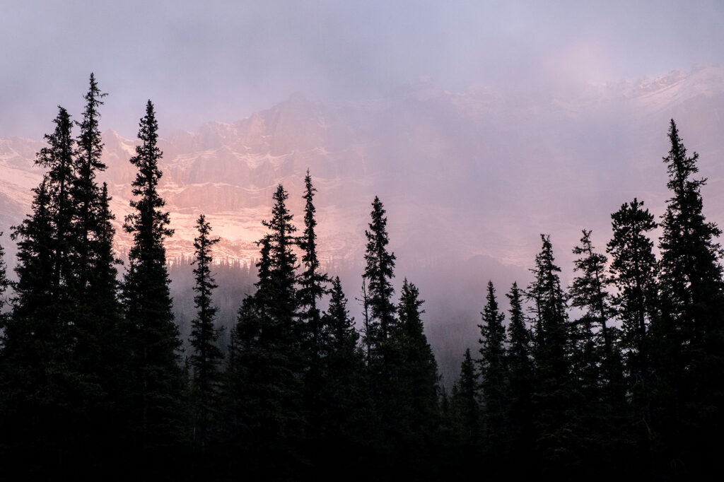 Exploring The Pros And Cons Of Campers, Tents And RVs | How Far From Home
