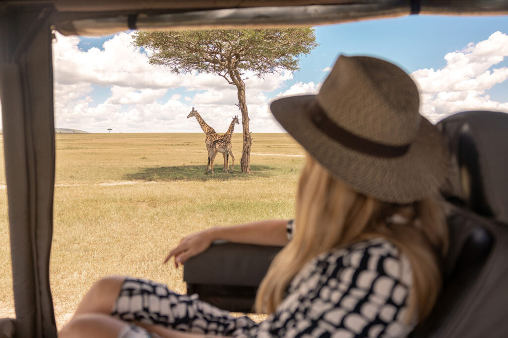 Safari Adventures: Viewing Wildlife Without Disturbing Their Environment | How Far From Home