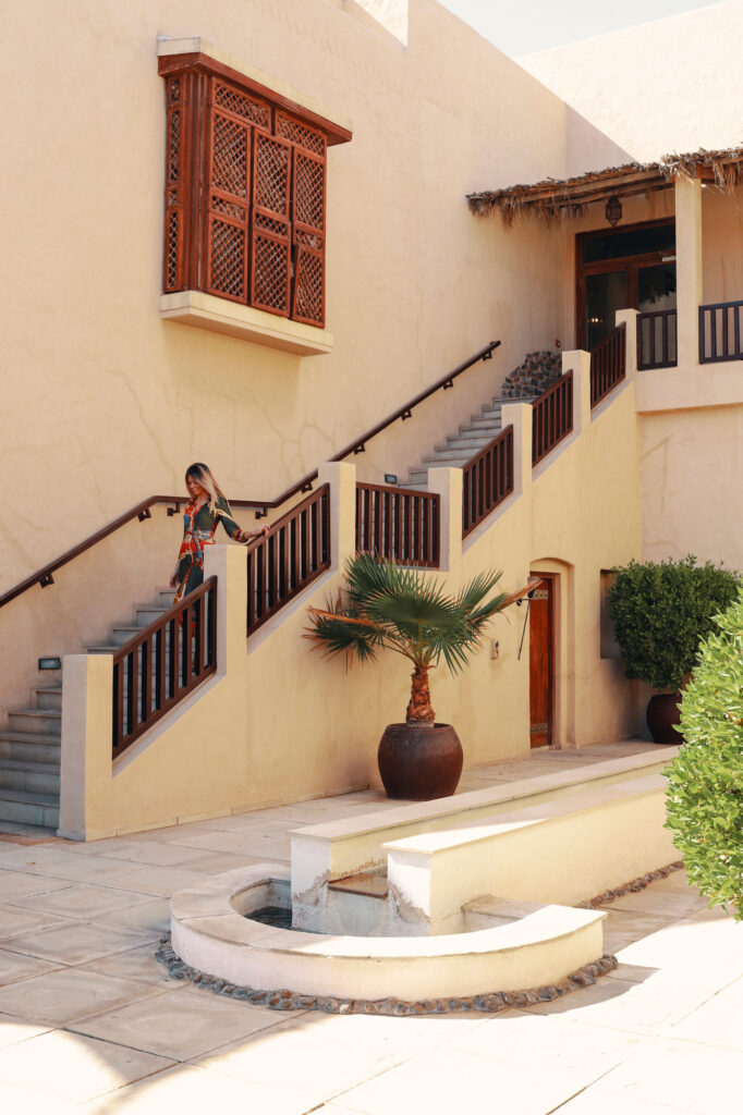 4 Tips For Living In Dubai With Pets | How Far From Home